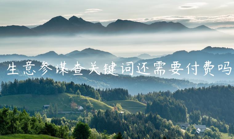 生意參謀查關(guān)鍵詞還需要付費嗎